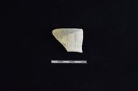 藏品(陶片)的圖片